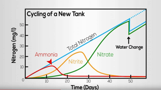 🌊فصل 5.شفافیت آب: تست، تنظیم و تعویض آب تانک میگو