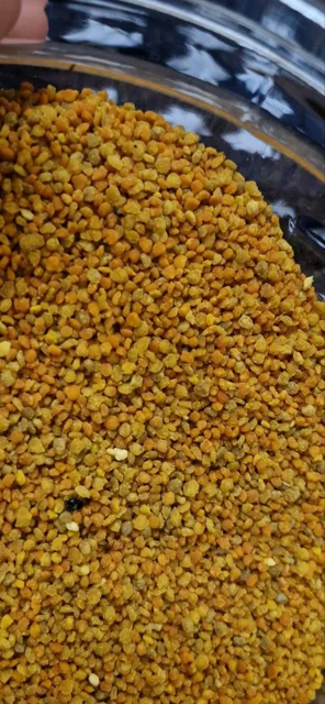 پودر گرده زنبور برای رنگ و رشد میگوها
