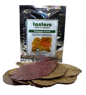 برگ‌های کاتاپا متوسط تانتورا: تغذیه مکمل طبیعی برای آکواریوم