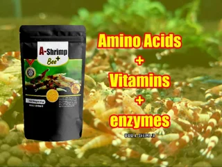 bee+ غذای ای شریمپ بی پلاس